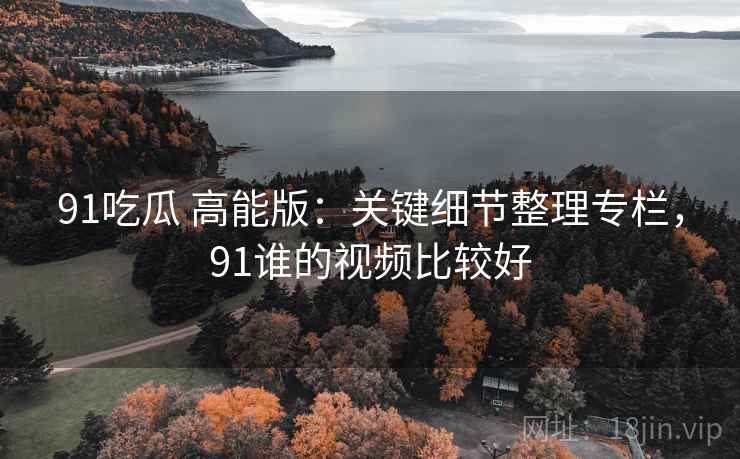 91吃瓜 高能版：关键细节整理专栏，91谁的视频比较好