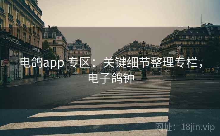 电鸽app 专区：关键细节整理专栏，电子鸽钟