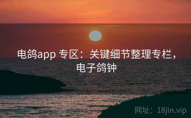 电鸽app 专区：关键细节整理专栏，电子鸽钟