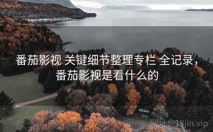 番茄影视 关键细节整理专栏 全记录，番茄影视是看什么的