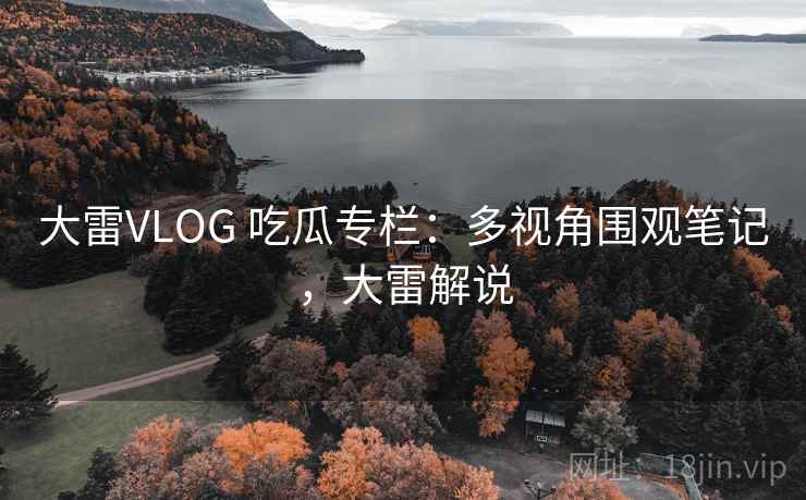 大雷VLOG 吃瓜专栏：多视角围观笔记，大雷解说