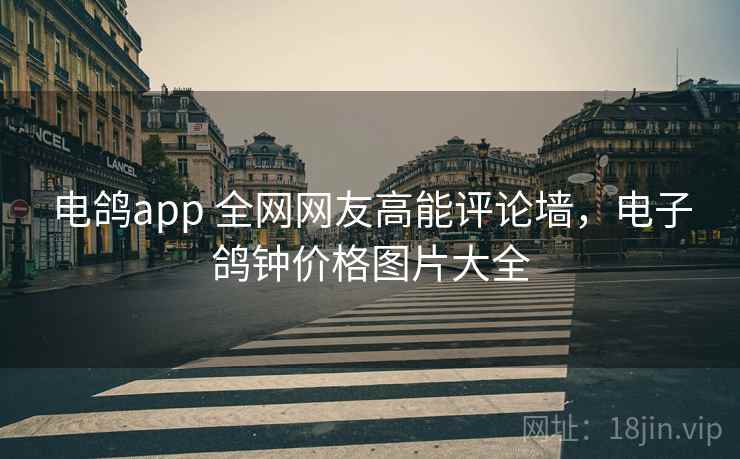 电鸽app 全网网友高能评论墙,电子鸽钟价格图片大全 电鸽app 全网网友高能评论墙,电子鸽钟价格图片大全